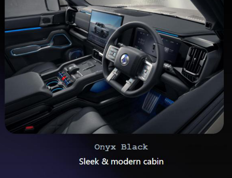 DENZA B8 Onyx Black interior