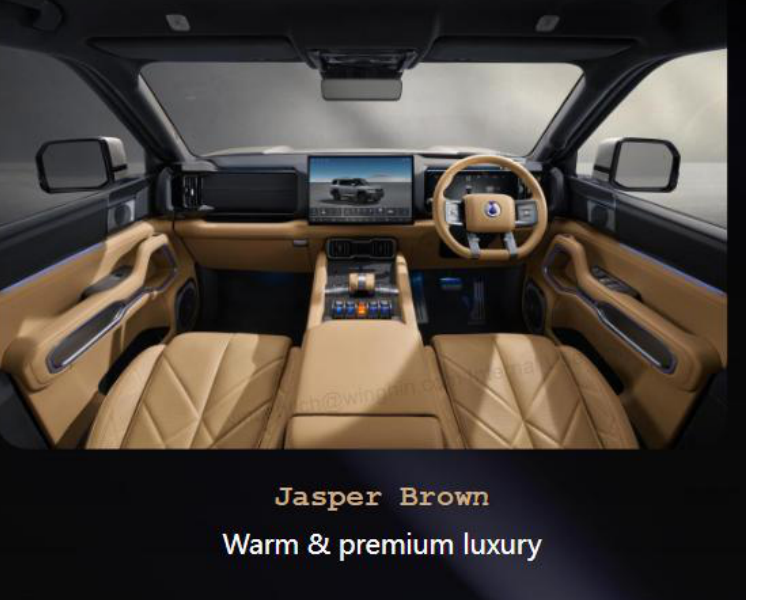 DENZA B8 Jasper Brown interior